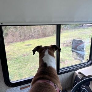 Meet your Posher, Andy